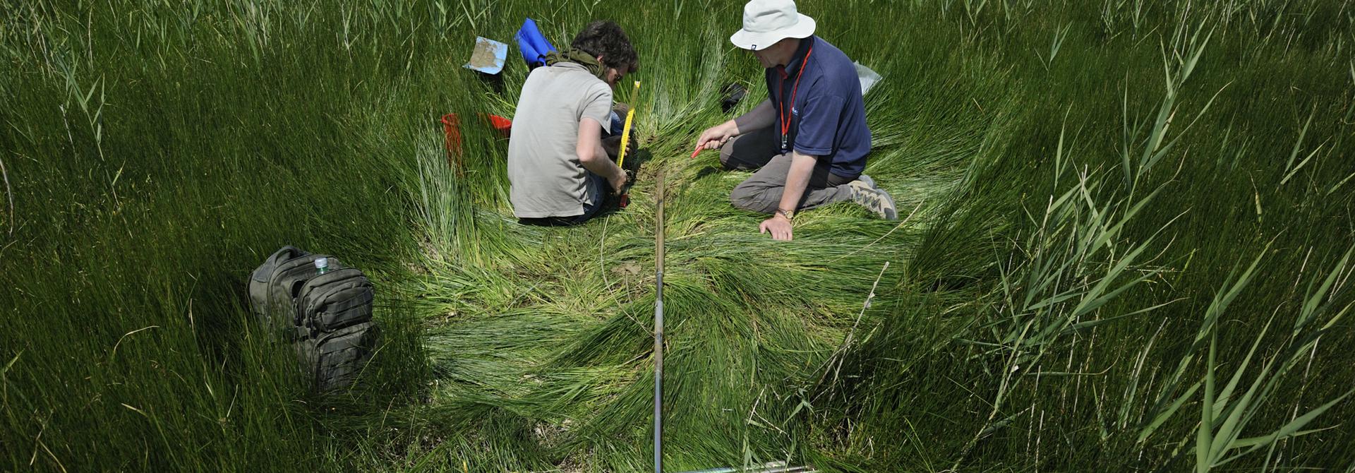 Caska - Pag-The geological coring in Caska’s marshes provide the data for the reconstruction of paleo-landscape and sea level changes that have occurred since Roman times. (Photo: Loïc Damelet)